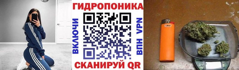 Виды наркотиков купить Новоузенск АМФ  Меф  ГАШИШ  Бошки Шишки  Cocaine 