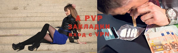 индика Дмитровск