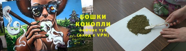 дурь Богданович