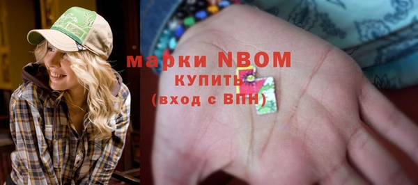 прущая мука Богородицк