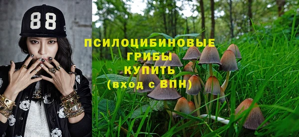 дурь Богданович