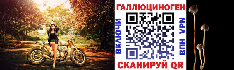 что такое   мориарти официальный сайт  Галлюциногенные грибы мицелий  Новоузенск  мега зеркало 